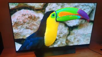 LG OLED 55inch 55E8PLA – 4K Smart TV met ingebouwde soundbar beschikbaar voor biedingen