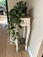 Mooie plantentafel! 27x27 en 80 hoog, Ophalen, Zo goed als nieuw