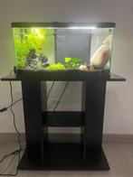 Aquarium 58L + meubel( ZONDER vissen), Ophalen, Zo goed als nieuw, Leeg aquarium