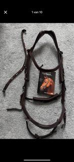 Hoofdstel PresTeq Fay Sport Bruin full, Dieren en Toebehoren, Paarden en Pony's | Hoofdstellen en Tuigage, Ophalen of Verzenden