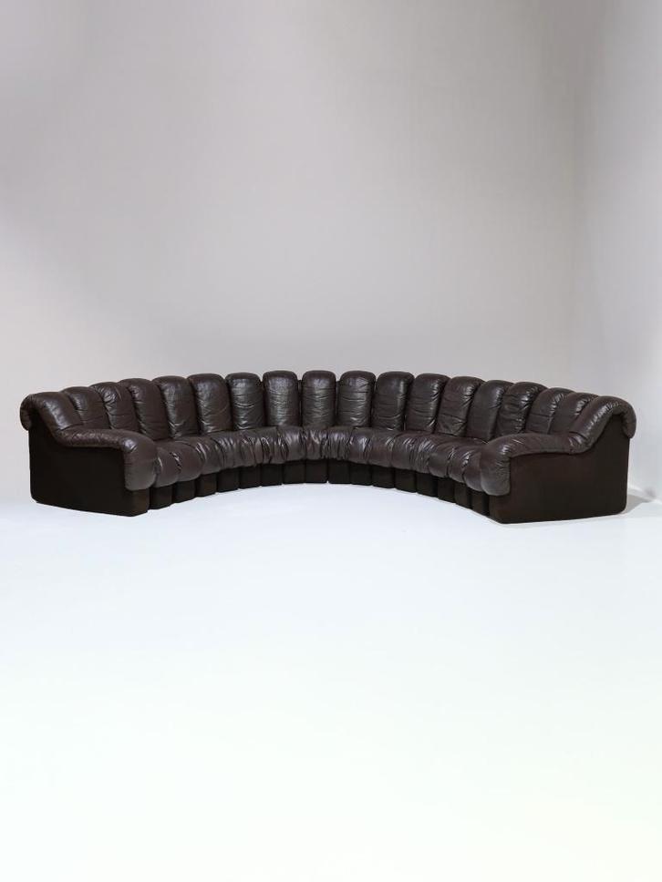 DS-600 Non-Stop Snake sofa De Sede 1970s bruin leer, Huis en Inrichting, Banken | Bankstellen, Gebruikt, Rechte bank, Vierpersoons of meer