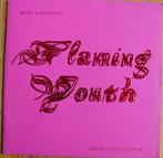 FLAMING YOUTH, 9 kunstenaars, 2000 Nouvelles Images, Ophalen of Verzenden, Zo goed als nieuw, Schilder- en Tekenkunst