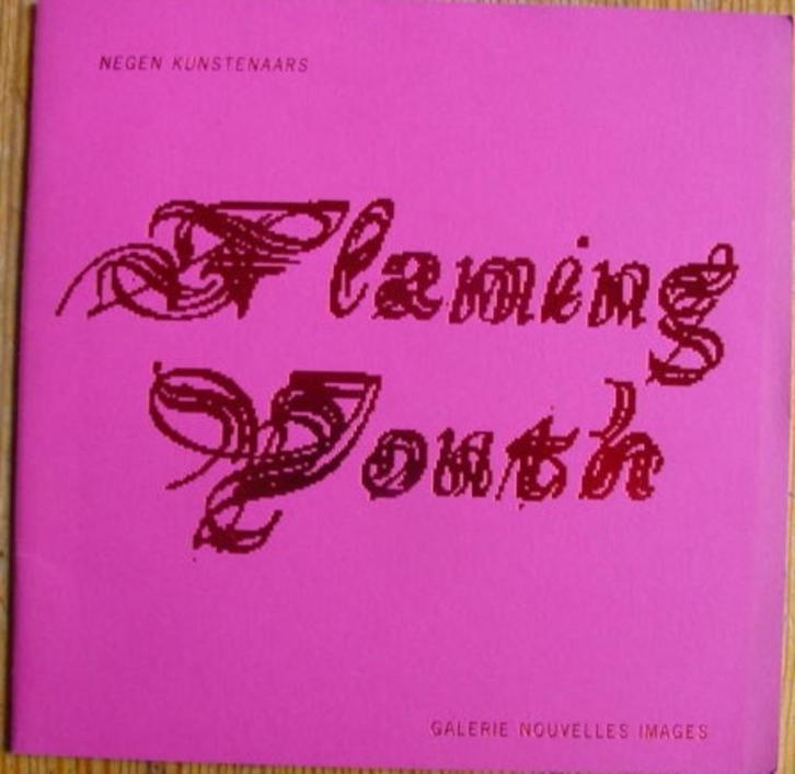 FLAMING YOUTH, 9 kunstenaars, 2000 Nouvelles Images, Boeken, Kunst en Cultuur | Beeldend, Zo goed als nieuw, Schilder- en Tekenkunst