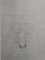 Paarden tekening in opdracht, Ophalen of Verzenden, Nieuw