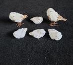 Vogels, Ophalen of Verzenden, Nieuw