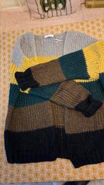 Heerlijk comfortabel vest van Sissyboy. Maat m, Kleding | Dames, Truien en Vesten, Ophalen of Verzenden, Zo goed als nieuw, Maat 38/40 (M)