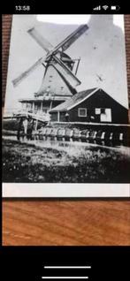 Oude ansichtkaart Oliemolen de Engel Wormerveer, Verzamelen, Ophalen of Verzenden