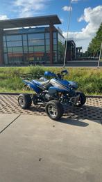 Shineray 250 Stxe Quad, Motoren, Tuning en Styling, Ophalen of Verzenden
