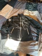 DAF Softshell XL, Ophalen of Verzenden, Nieuw