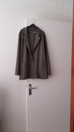 Mooi  jasje  48, Kleding | Dames, Grote Maten, Ophalen of Verzenden, Zo goed als nieuw, Groen, Jasje of Colbert