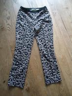 MARCCAIN sports broek N2 (38), panterprint, Gedragen, Lang, Maat 38/40 (M), Ophalen of Verzenden