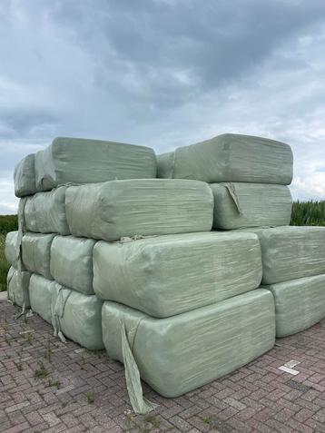 Weide hooi in grote pakken balen beschikbaar voor biedingen