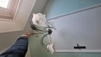 Hanglamp in bloem motief, Huis en Inrichting, Lampen | Hanglampen, Ophalen, 50 tot 75 cm, Zo goed als nieuw, Glas