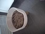 Zgan. poezenmand, voor de sier gestaan., Dieren en Toebehoren, Kattenmanden, Ophalen of Verzenden, Zo goed als nieuw