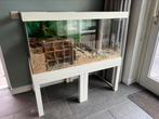 Prachtig hamsterhok / hamsterscaping, Ophalen, Minder dan 60 cm, 110 cm of meer, Gebruikt