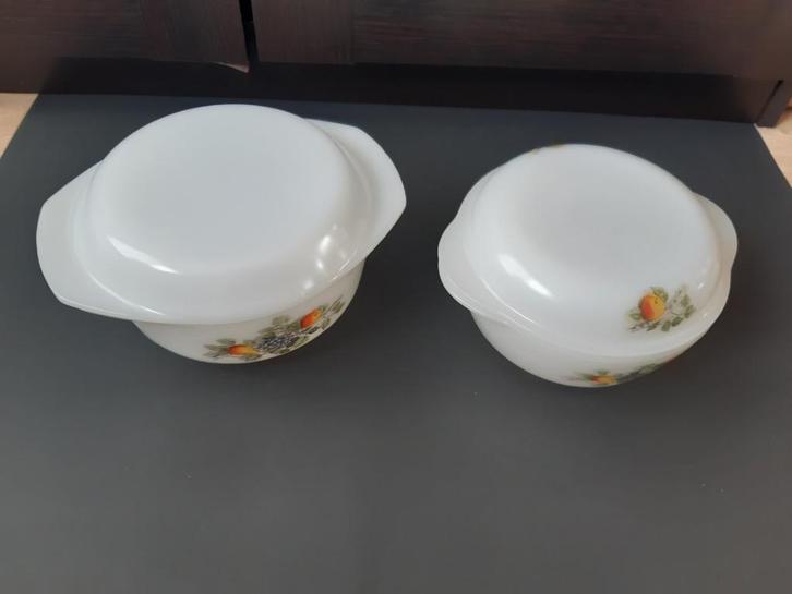 Acropal France 2 stuks schaal met deksel "Fruits de France", Antiek en Kunst, Antiek | Servies los, Ophalen of Verzenden