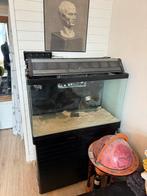Zoutwateraquarium 260L - Compleet, Dieren en Toebehoren, Vis, Zoutwatervis