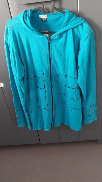 Nieuw vest Pasal Himal turquoise L en XL beschikbaar voor biedingen