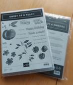 Stampin up, Hobby en Vrije tijd, Stempelen, Ophalen of Verzenden, Gebruikt, Clearstamp