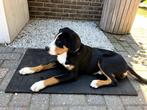 Rubber mat / Hondenmat - onverwoestbaar - diverse formaten, Gebruikt, Ophalen of Verzenden, Info@noddevelt.nl, Noddevelt BV