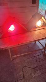 Veel spullen, Meerdere dieren