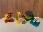 Duplo 4962 Baby zoo, Ophalen, Zo goed als nieuw, Duplo