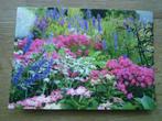 Planten bloemen hortensia Phlox ridderspoor ivoordistel, Ophalen of Verzenden, Voor 1920, Overige thema's