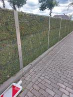 Groenscherm/schutting, Tuin en Terras, Schuttingen, Ophalen, Gebruikt, Minder dan 3 meter