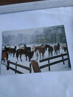 SOEST. NATIONAAL RUSTHUIS VOOR PAARDEN. 1982, Ophalen of Verzenden, 1980 tot heden