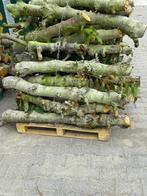 Haardhout, Tuin en Terras, Haardhout, Minder dan 3 m³, Ophalen