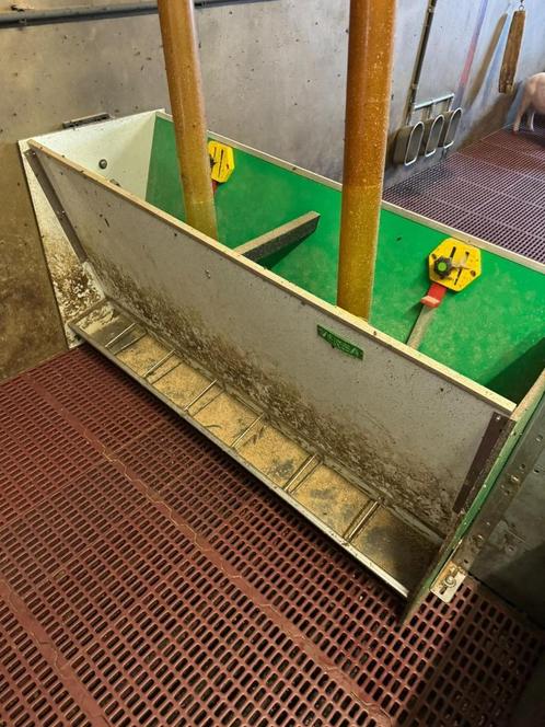 Verba 7 vaks biggen bakken [547], Dieren en Toebehoren, Schapen, Geiten en Varkens, Geit, Meerdere dieren