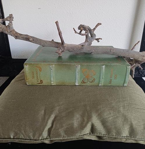 Groen Kussen met Boek-Doosje, Huis en Inrichting, Woonaccessoires | Overige, Gebruikt, Ophalen of Verzenden