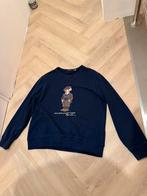 Ralph Lauren beer trui maat L, Ophalen of Verzenden, Zo goed als nieuw, Maat 52/54 (L), Blauw