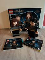 Harry Potter lego 76393 Harry Potter & Hermione Granger, Verzamelen, Harry Potter, Ophalen, Zo goed als nieuw