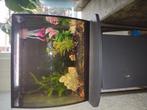 Goed werkend aquarium - Fluval - compleet!, Ophalen, Zo goed als nieuw, Gevuld zoetwateraquarium