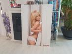 Britney Spears - Rolling Stone Alluminium Plaat! 60 x 80 CM!, Ophalen of Verzenden, Nieuw, Poster, Artwork of Schilderij
