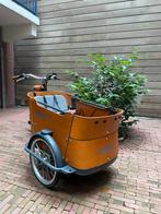 Babboe curve + Steco baby mee, Ophalen, Gebruikt, 4 kinderen of meer, Overige merken