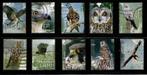 TW1222 NVPH 3812-3821 Roofvogels en Uilen 2020 compl. set, Dier of Natuur, Verzenden, Gestempeld