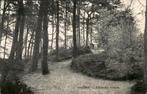 Ede Doolhof Edesche Bosch st 1913, Verzenden, Voor 1920, Ongelopen, Gelderland