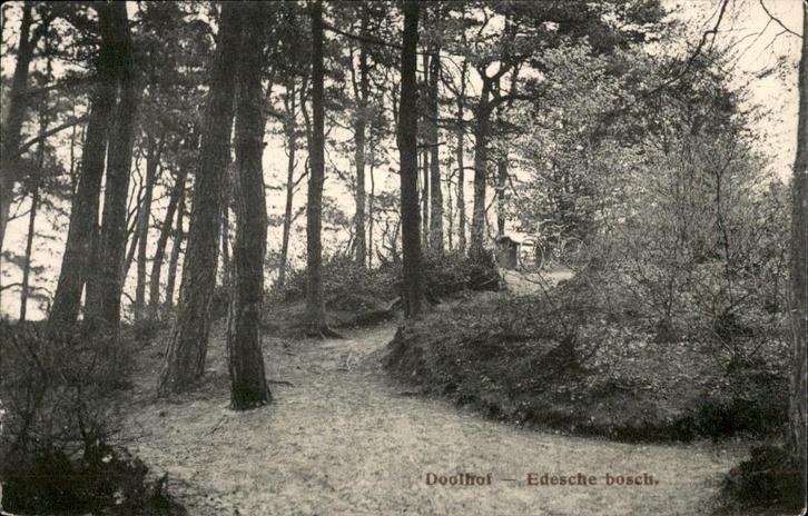 Ede Doolhof Edesche Bosch st 1913, Verzamelen, Ansichtkaarten | Nederland, Ongelopen, Gelderland, Voor 1920, Verzenden