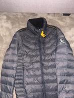 Parajumper jas, Ophalen, Nieuw, Parajumpers, Grijs