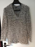 Mooie trui van Didi maat L, Kleding | Dames, Maat 42/44 (L), Didi, Ophalen of Verzenden, Zo goed als nieuw