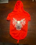 Honden trui maat M met capuchon en eventueel lichtjes, Dieren en Toebehoren, Ophalen of Verzenden, Zo goed als nieuw, Hondentrui