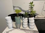 Mooie bloempotten/sierpotten glanzende keramiek/aardewerk, Binnen, Ophalen of Verzenden, Zo goed als nieuw, Overige vormen