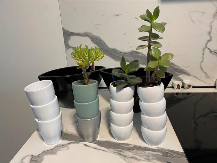 Mooie bloempotten/sierpotten glanzende keramiek/aardewerk, Tuin en Terras, Bloempotten, Zo goed als nieuw, Aardewerk, Binnen, Balkon