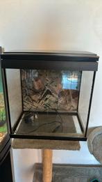 Superfish aquarium 35x35x22 aqua 30 Led, Ophalen, Gebruikt, Leeg aquarium