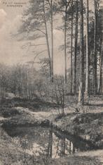 Breda, Ginneken, Put in 't Mastbosch  129468, Verzenden, Ongelopen, Noord-Brabant