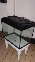 Aquarium, Dieren en Toebehoren, Ophalen, Zo goed als nieuw, Leeg aquarium