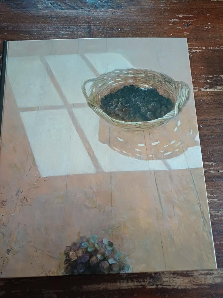 Jan van der Kooi - Schilder en Tekenaar, Ophalen of Verzenden, Zo goed als nieuw, Overige onderwerpen