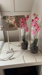 Tafellampen, Vas met Orchideen, Huis en Inrichting, Woonaccessoires | Droogbloemen, Ophalen, Zo goed als nieuw